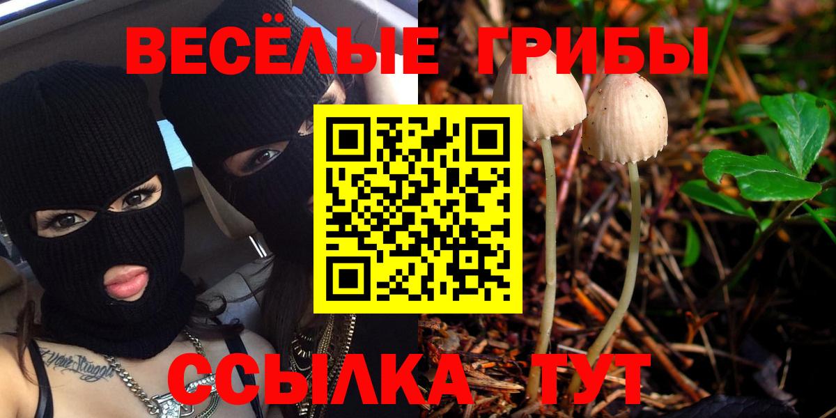 Псилоцибиновые грибы Cubensis Добрянка